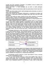 Diplomdarbs 'Vainas formas krimināltiesībās', 53.