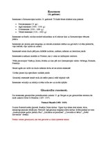 Konspekts 'Renesanse', 1.