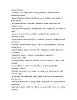 Referāts 'Apdrošināšana', 9.