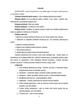 Referāts 'Arku mehānika pēcsabrukuma stadijā', 6.