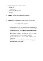 Konspekts 'Latviešu valodas stunda 1. klasei "Putni ziemā"', 2.