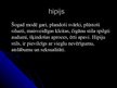 Prezentācija 'Hipijs', 6.