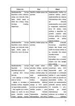 Referāts 'Mazākumtautību konvencijas piemērošana Eiropā', 18.