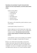 Referāts 'Mazo un vidējo uzņēmumu darbības finansēšanas iespējas Latvijā', 32.