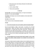 Referāts 'Latvijas arheologu pētījumi un atklājumi Ēģiptē', 18.