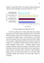 Diplomdarbs 'Risku vadības stratēģija transporta uzņēmumos', 24.