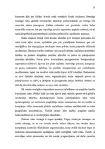 Diplomdarbs 'Risku vadības stratēģija transporta uzņēmumos', 27.