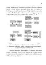 Diplomdarbs 'Risku vadības stratēģija transporta uzņēmumos', 36.