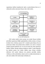 Diplomdarbs 'Risku vadības stratēģija transporta uzņēmumos', 45.