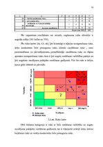 Diplomdarbs 'Risku vadības stratēģija transporta uzņēmumos', 78.