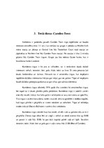 Referāts 'Grupas ceļojums uz Londonu', 10.