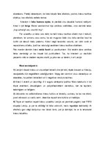 Referāts 'Etiķete Krievijā', 4.