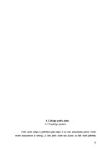 Diplomdarbs 'Strīdi par preču zīmju līdzību', 12.