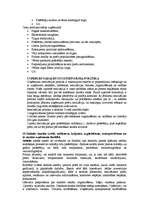 Konspekts 'Konspekts mārketingā', 14.