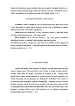 Referāts 'Mazbērna, pirmsskolas, jaunākais skolas vecums', 12.