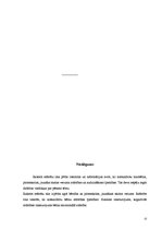 Referāts 'Mazbērna, pirmsskolas, jaunākais skolas vecums', 13.