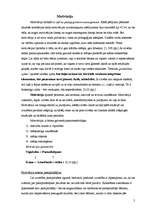 Referāts 'Motivācija', 2.