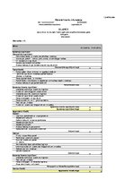 Konspekts 'Finanšu plūsma viesu nama biznesa plānam trīs gadiem', 1.