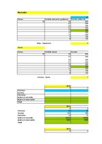Konspekts 'Finanšu plūsma viesu nama biznesa plānam trīs gadiem', 28.