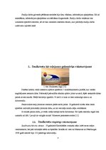 Referāts 'Atpūtas iespēju raksturojums Saulkrastos', 4.