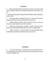 Referāts 'Atpūtas iespēju raksturojums Saulkrastos', 21.