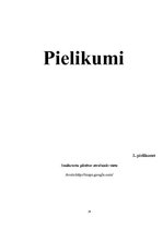 Referāts 'Atpūtas iespēju raksturojums Saulkrastos', 24.