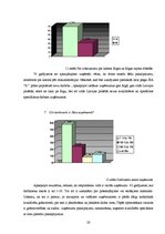 Diplomdarbs 'Uzņēmuma SIA "X" attīstības plāns', 28.
