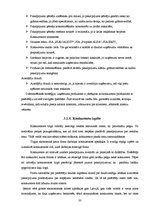 Diplomdarbs 'Uzņēmuma SIA "X" attīstības plāns', 33.