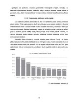 Diplomdarbs 'Uzņēmuma SIA "X" attīstības plāns', 39.