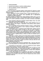 Diplomdarbs 'Uzņēmuma SIA "X" attīstības plāns', 52.