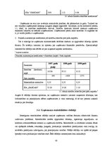 Diplomdarbs 'Uzņēmuma SIA "X" attīstības plāns', 60.