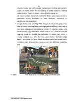 Diplomdarbs 'Lauku tūrisma attīstība', 29.