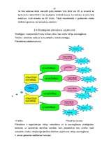 Diplomdarbs 'Lauku tūrisma attīstība', 66.