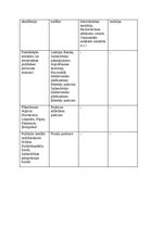 Konspekts 'Publisko tiesību juridisko personu sistēma Latvijā', 3.