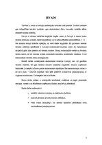 Referāts 'Viesnīcas "Turbas" finanšu rādītāju analīze', 3.