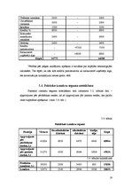 Referāts 'Viesnīcas "Turbas" finanšu rādītāju analīze', 19.