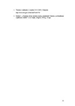 Referāts 'Viesnīcas "Turbas" finanšu rādītāju analīze', 25.