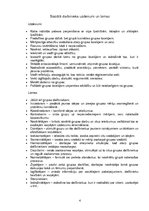 Referāts 'Sociālā darba grupa ar jauniešiem, kuri aiziet no bērnu nama, sasniedzot pilngad', 4.