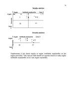 Referāts 'Mārketinga plāns', 2.