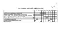 Referāts 'Mārketinga plāns', 4.