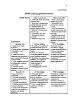 Referāts 'Mārketinga plāns', 5.