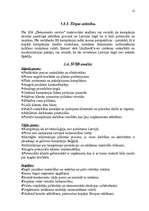 Referāts 'Mārketinga plāns', 21.