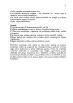 Referāts 'Mārketinga plāns', 22.