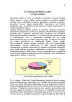 Referāts 'Mārketinga plāns', 25.