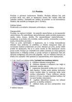 Referāts 'Mārketinga plāns', 27.