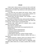 Diplomdarbs 'Motivācijas stimuli darba aktivitātes paaugstināšanai SIA "X" darbībā', 7.