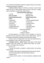 Diplomdarbs 'Motivācijas stimuli darba aktivitātes paaugstināšanai SIA "X" darbībā', 34.