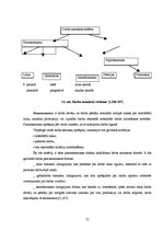 Diplomdarbs 'Motivācijas stimuli darba aktivitātes paaugstināšanai SIA "X" darbībā', 55.