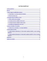 Referāts 'Noziedzīga nodarījuma izdarīšana ar nodomu', 2.