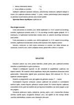 Prakses atskaite 'Grāmatvedības prakses atskaite ', 13.